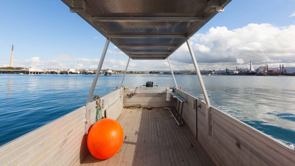 Punt Large 03